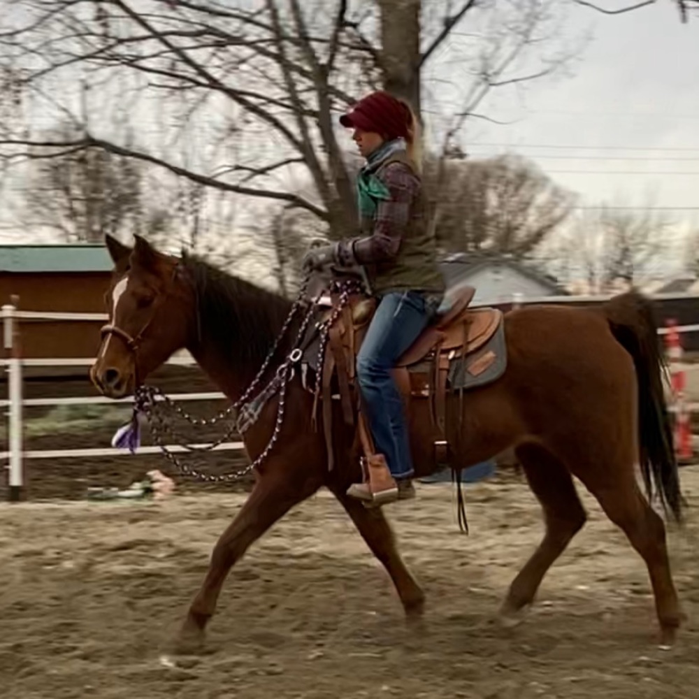 Meet your Posher, Brittany - Picture 13 of 16